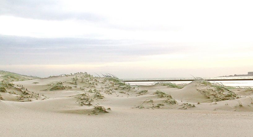 Duinen van Texel par Henk Langerak