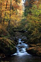 Ilsetal in herfsttooi