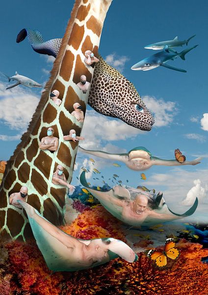 Korona-Traum 4 von Dray van Beeck