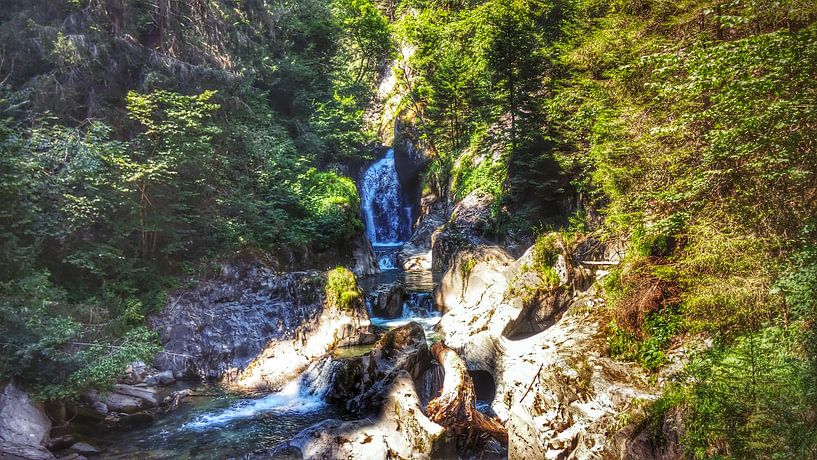 Wo das Wasser fließt. von Mees Jansen