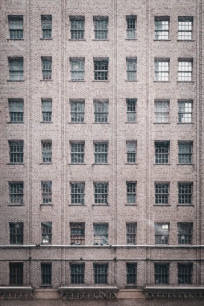 Tempête de neige à New York par Jonas Röjestål