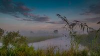 Oer-Hollands mistig landschap