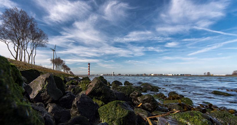 Aangespoeld par Peter Hoogeveen