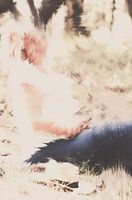 vrouw aan het zitten,