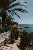 Photo de paysage lors de ma promenade dans la ville d'Ibiza