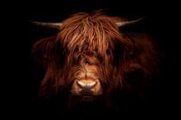 journée de la mauvaise coupe de cheveux