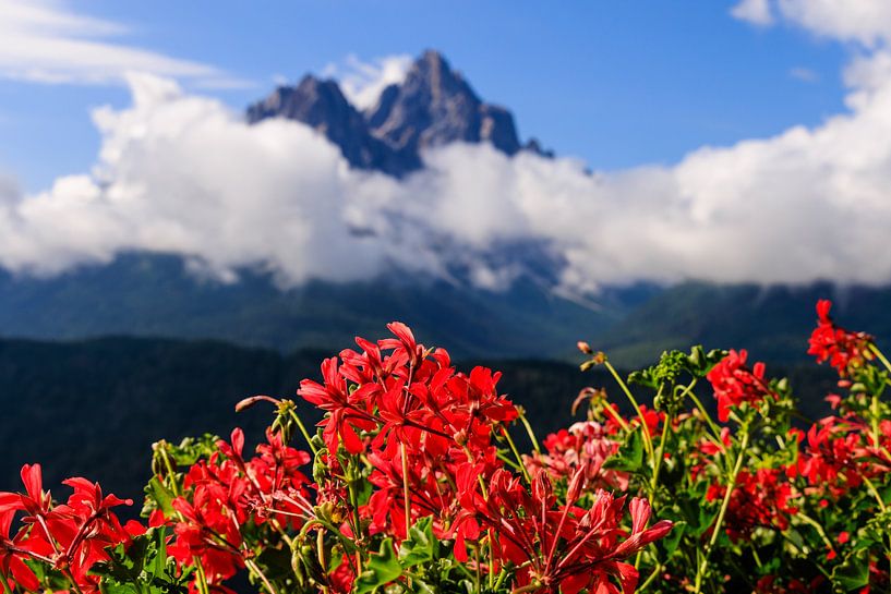 Alps, mountain peaks and geraniums | Austria, Switzerland, Italy by Sjaak den Breeje