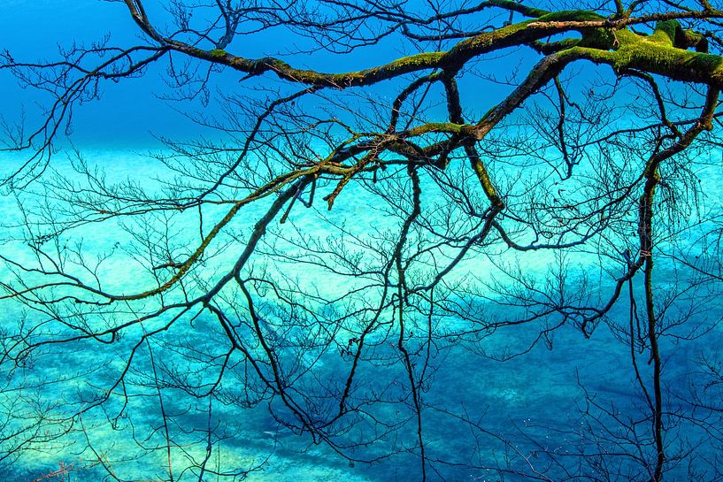 Sentiment des Caraïbes par Christa Kramer