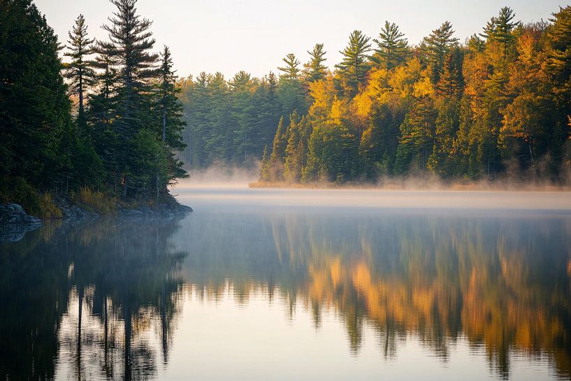 Nebliger Morgen am See von Art & Soul Creations