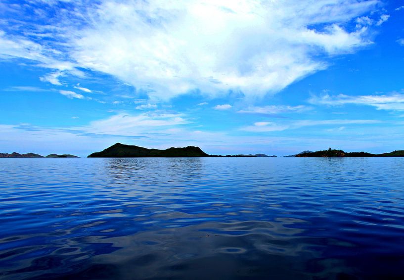 Komodo Indonesien  von Wijnand Plekker