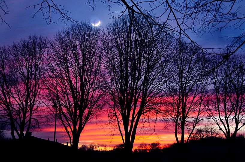 Winter sunset by Corinne Welp