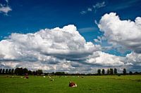 Quiet Dutch landscape
