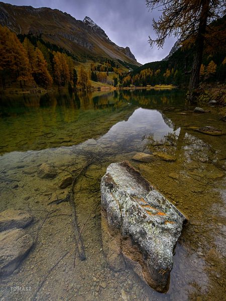 Amazing Palpuognasee... by Tomasz_best_shots