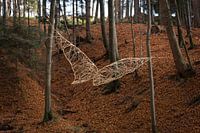 Buchenfalter_Natur-Kunst-Installation