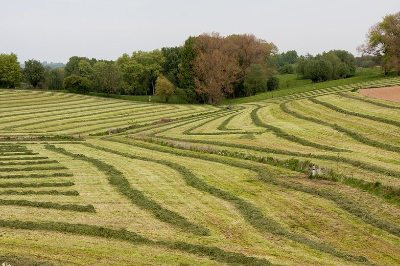 Die Kunst des Bauern von Wim van D