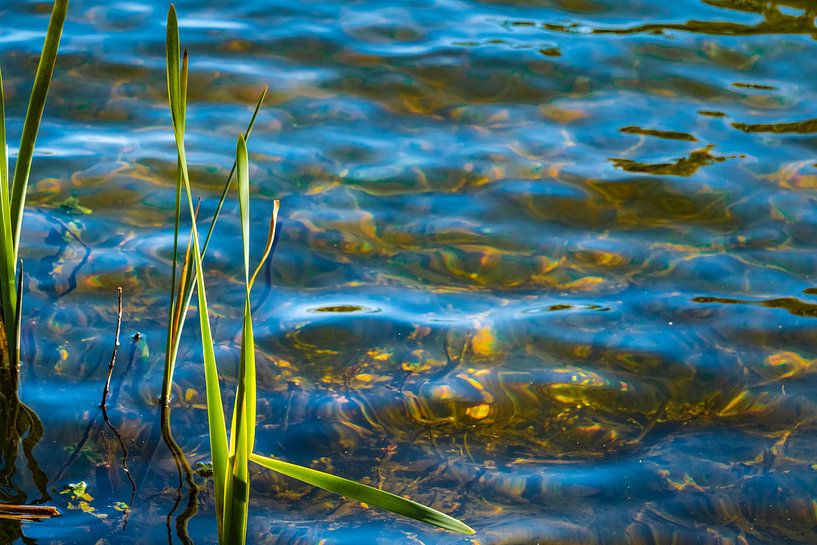 Waterboard by Maico.O