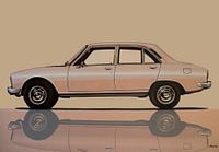 Peugeot 504 1968 Peinture