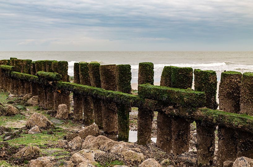 Wellenbrecher Zeeland von MSP Canvas