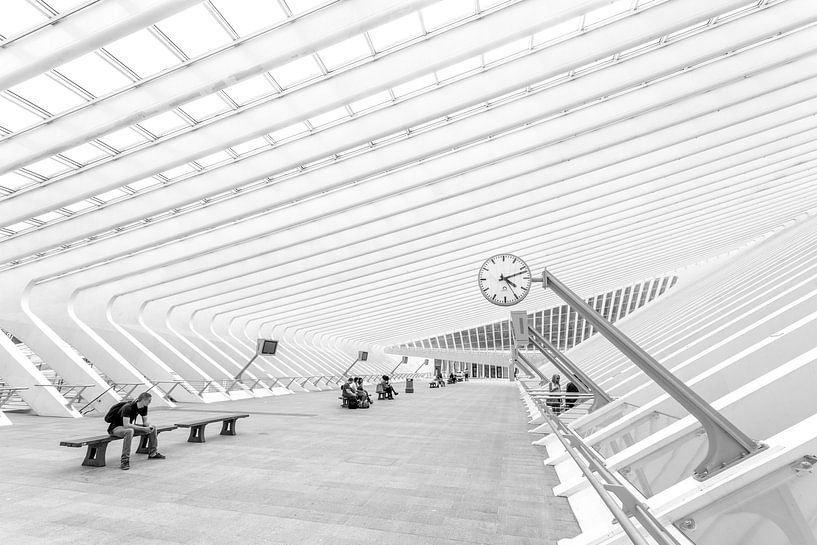 Bahnhof von Lüttich von Albert Mendelewski