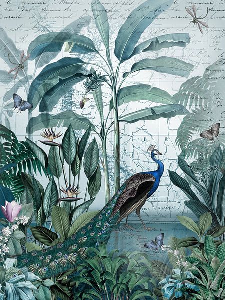 Abendstimmung am See von christine b-b müller