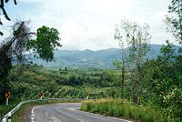 Roadtrip door de natuur in Khao Sok, Thailand