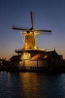 Der Salamander mit Jupiter & Venus