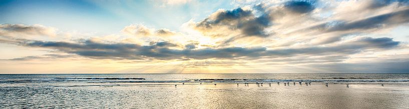 Möwen in der Bresche von Alex Hiemstra