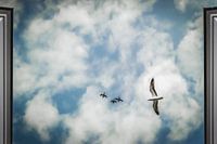 Freiheit vor meinem Fenster