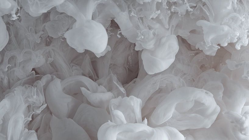 Verschneit von Jac Nooijens