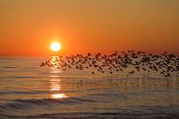 Last flight for the night