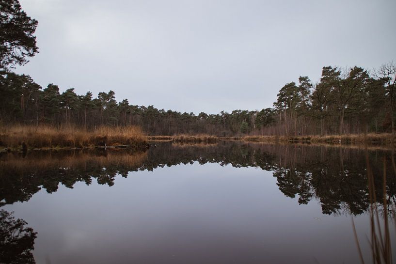 Oisterwijk reflection by Paul Schlüter