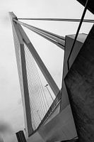 Erasmusbrücke Rotterdam