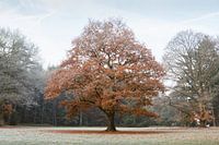 Zwischen Herbst und Winter