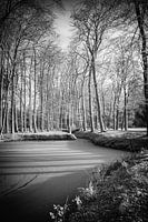 Mystische Infrarot-Waldlandschaft mit Pool