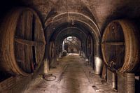 Abandoned Wine Cellar.