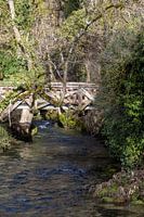 Blautopfsee in Blaubeuren mit Zufluss und alter Holzbrücke
