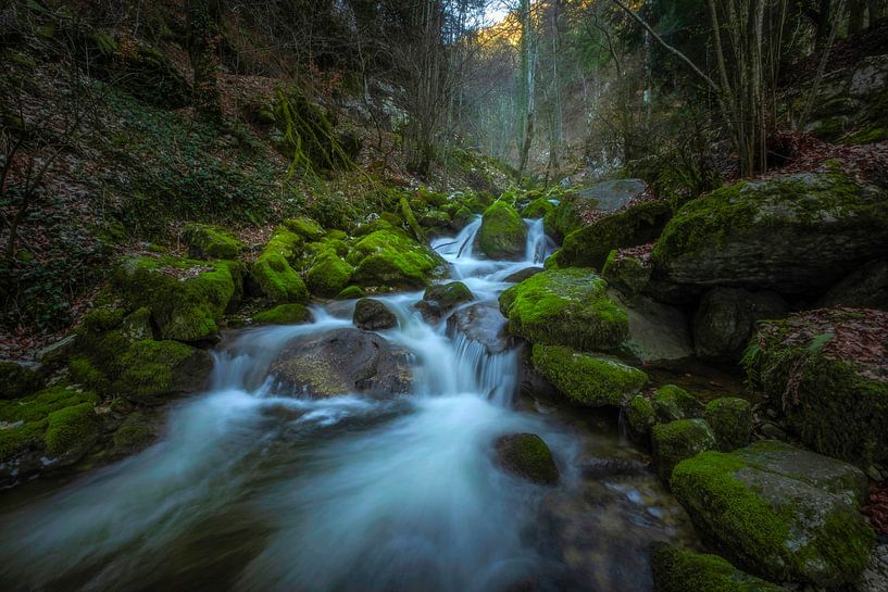WALDBACH von Simon Schuhmacher