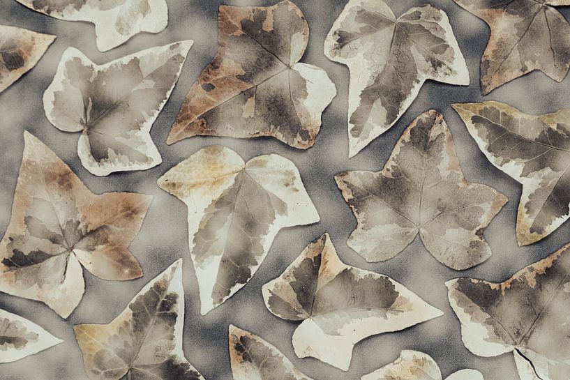 Mosaik aus Blättern in einem alten Landhausstil von Lisette Rijkers