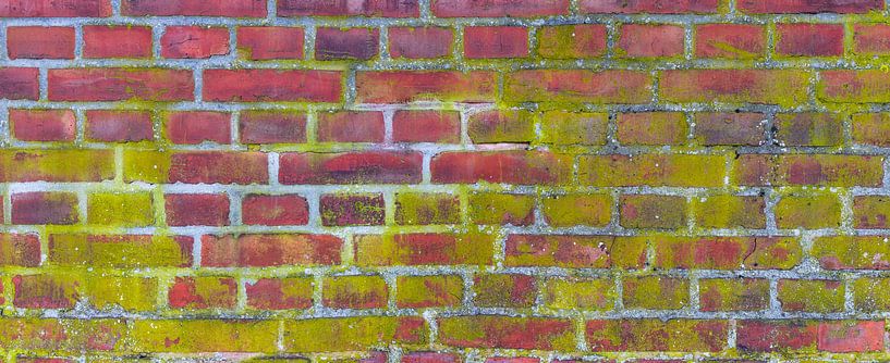 Panorama of old weathered brick wall background texture by Alex Winter