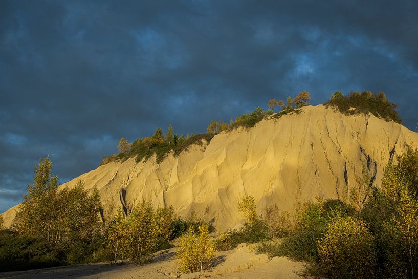 Bäume und Büsche auf großer Sanddüne von Robert Ruidl