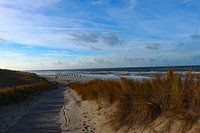 Petten aan Zee Impressies