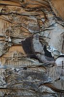 Compressed cardboard, detail.