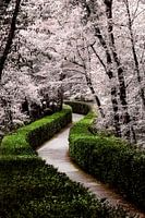 Fairy tale hiking trail