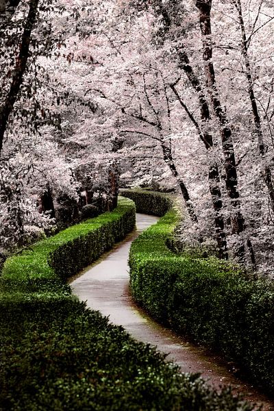 Fairy tale hiking trail by Jantien Goudzwaard