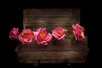 Rustikale Romantik IX - Bauernrosen in einer Vintage Truhe