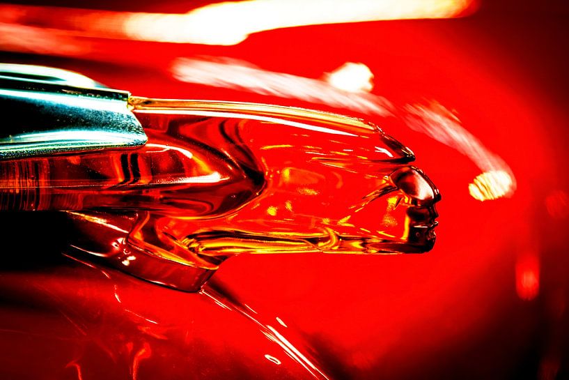 Motorhaube Pontiac Chieftain Ornament von Paul Kipping