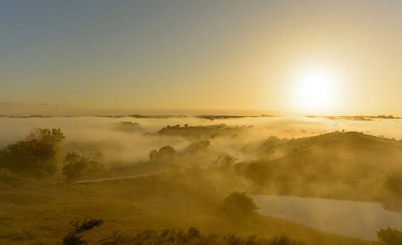 Neblige Landschaft in den Amsterdamer Wasserversorgungsdünen von Remco Van Daalen
