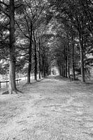 La route de l'infini