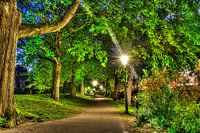 Stadsplantsoen in de Lente
