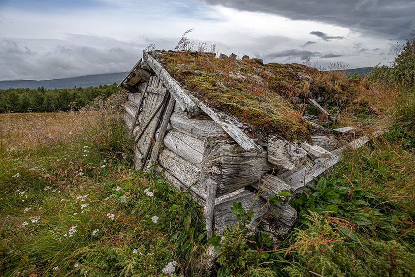 Abandoned by Albert Mendelewski